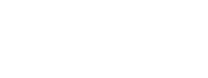 Speedflow