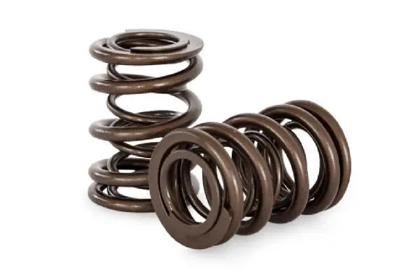 Kelford Cams RB30 Valve Springs