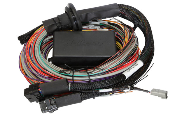 Haltech Elite 1500 Premium Harness (2.5m) Haltech Elite 1500 Premium Universal Harness (2.5M)